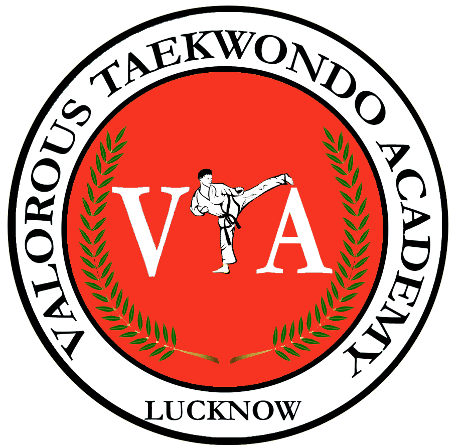 Valorous Taekwondo Academy